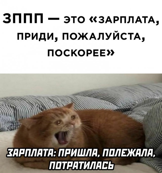 Когда зарплата закончилась на второй день...