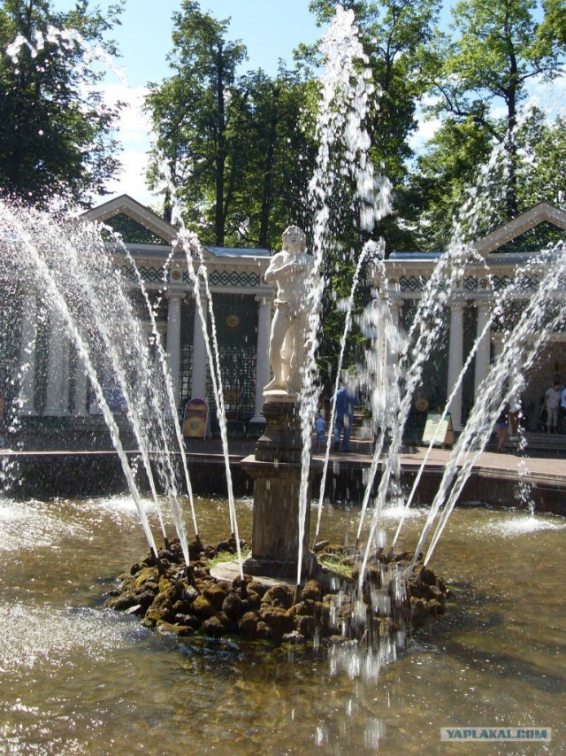 Парки и фонтаны Петергофа