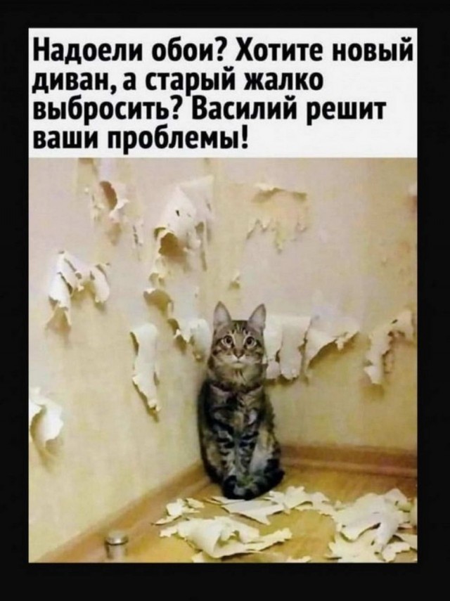 Картинки и мемы для настроения 02.02.2022