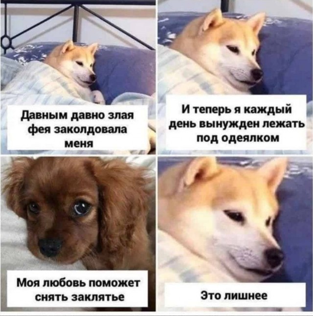 Баянисто-небаянистый юмор 28.03.22