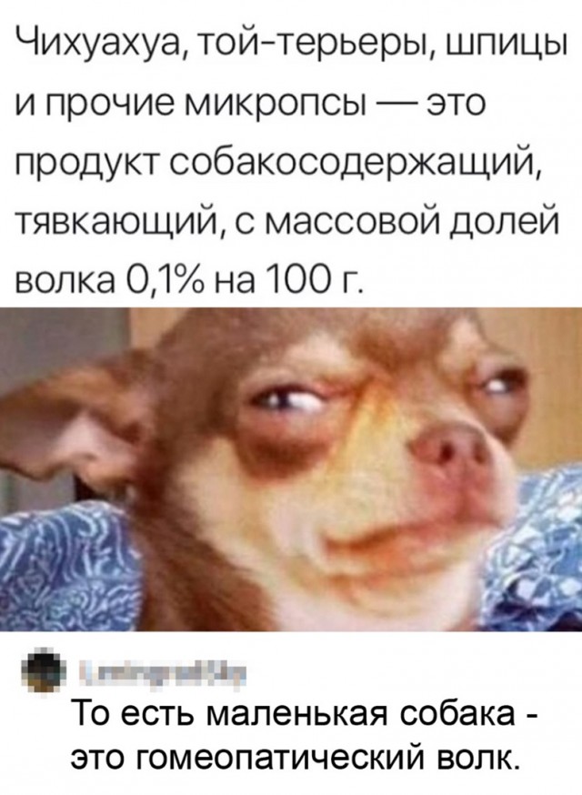 Так себе картинки 20.04.22