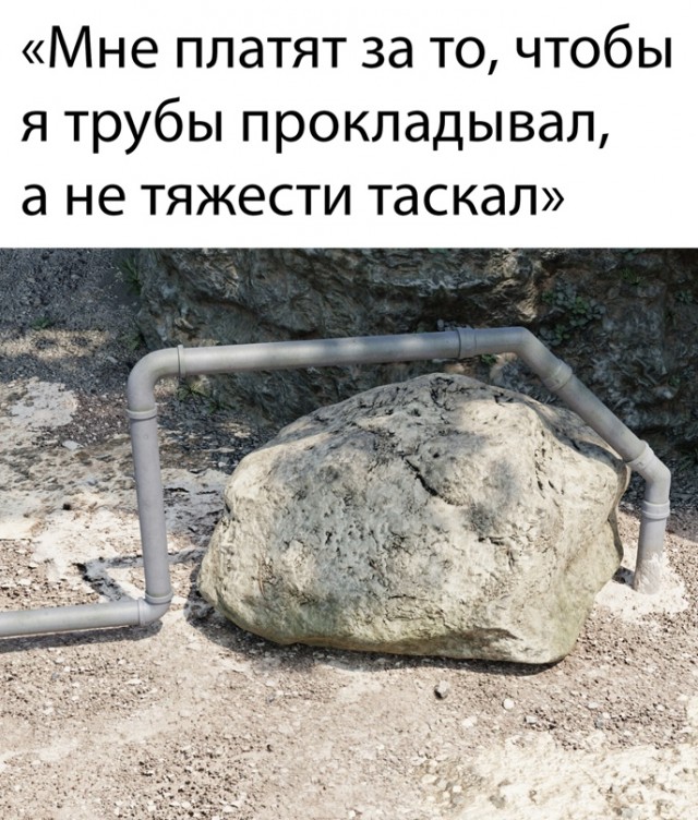 Весёлый полтишок 15.07.22