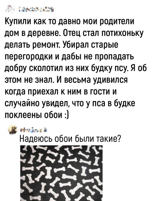 Так себе картинки 25.07.22