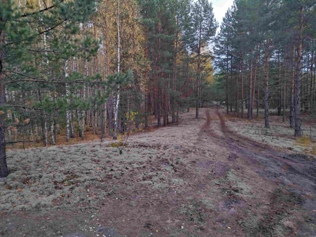 А может быть поделимся печальной красотой?