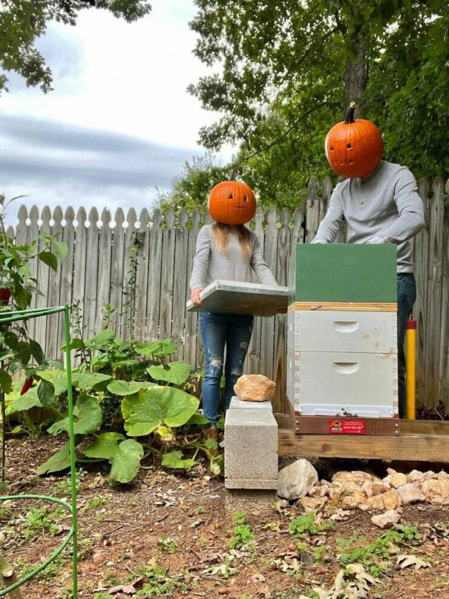 Немного картинок для настроения - 114