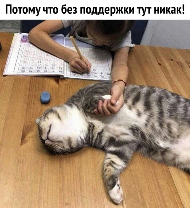 Картинки и мемы для настроения - 119