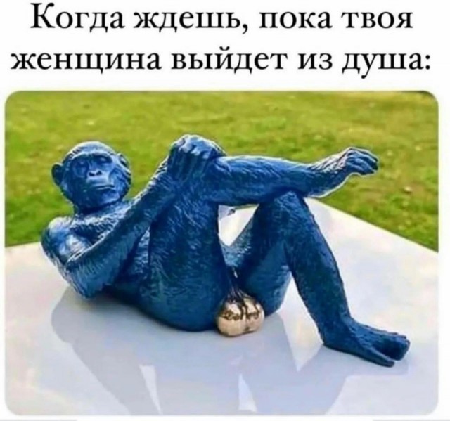 Юмор в картинках и без