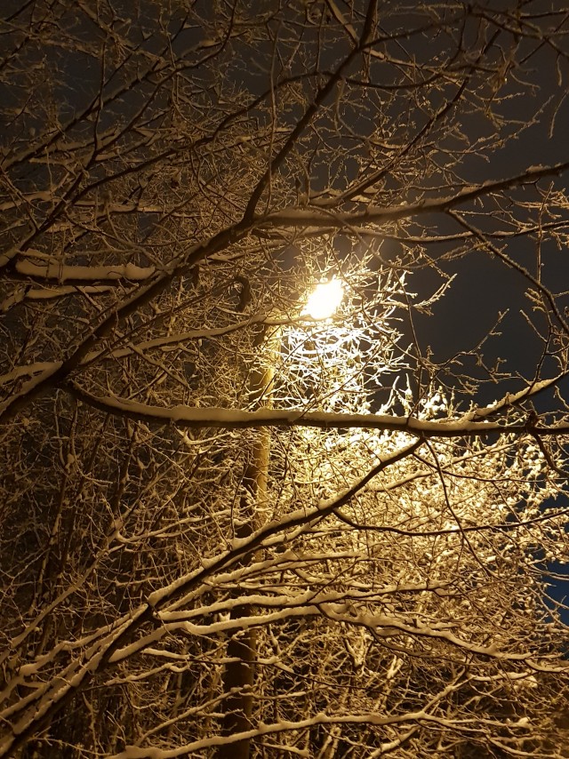 Моя мобильная фотография
