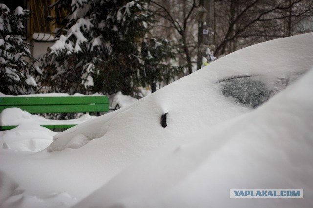 23 марта. Киев. Весна.