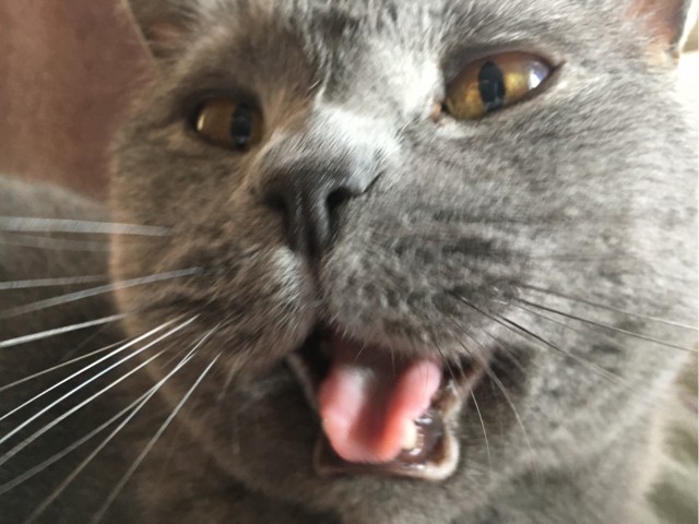 Совпало же? В котовторник