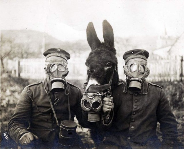 16 редких исторических фотографий и архивные снимки звёзд, помогающие с головой окунуться в прошлое