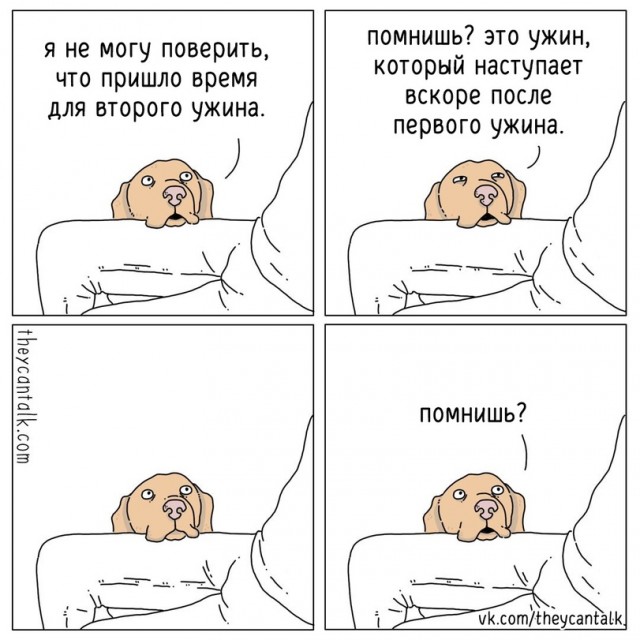 Ребятам о зверятах