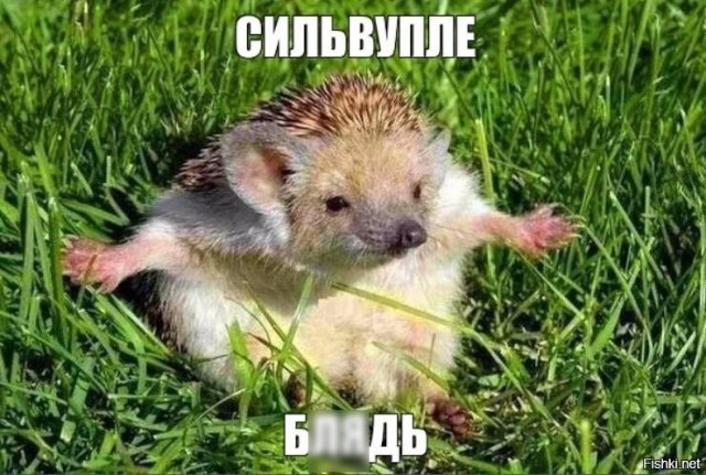 Немного картинок для настроения - 165