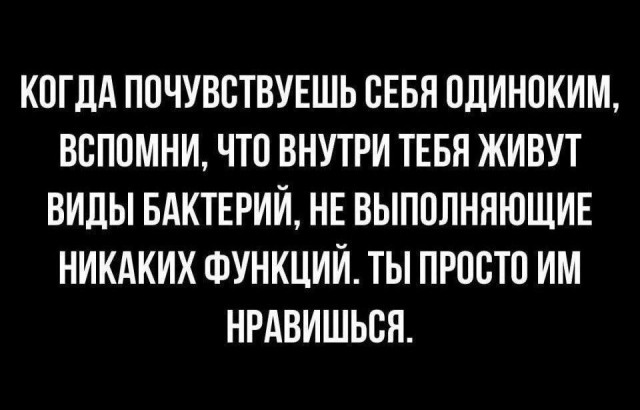 Так себе картинки 13.07.23