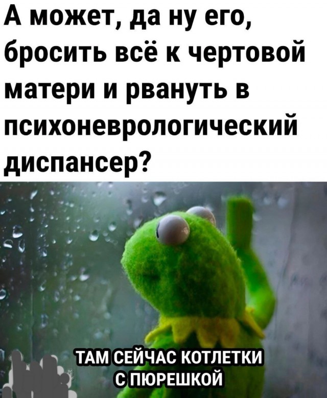 Весёлый полтишок 23.07.23