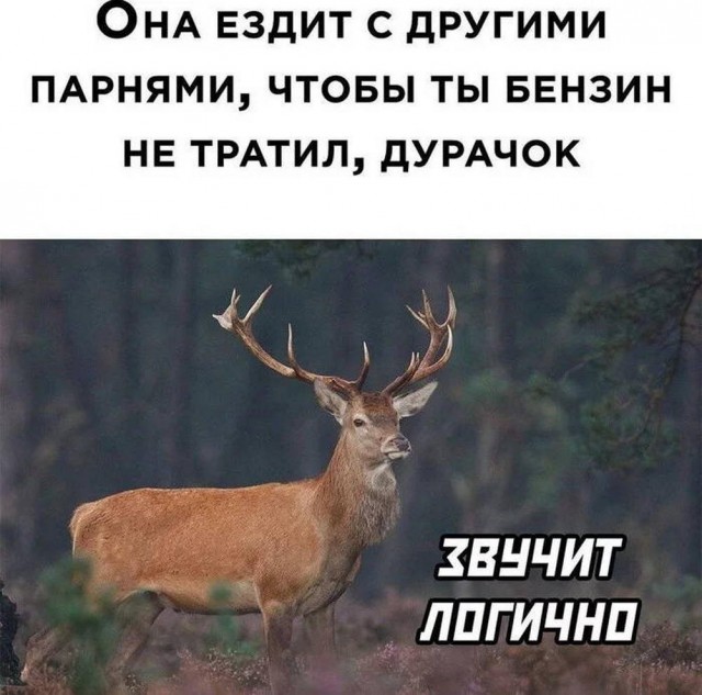 Прикольные и просто красивые картинки 25.07.2023