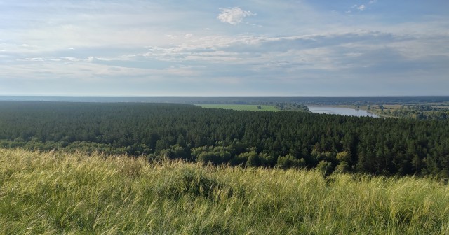 10 последних фото с Вашего телефона