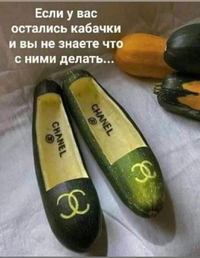 Баян Чемоданов