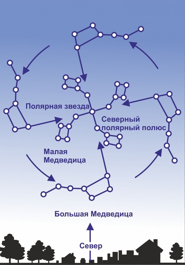 Скинхеды нынче уже не те пошли