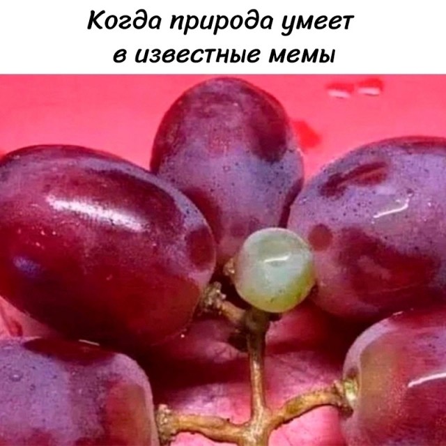 Так себе картинки 02.09.24