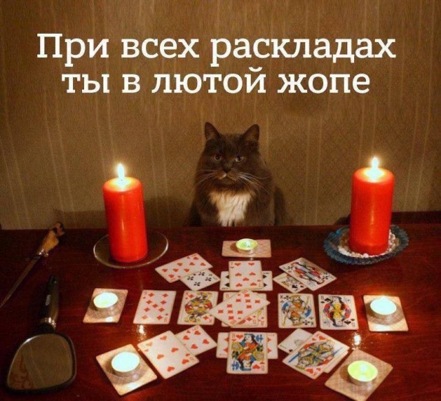 Всего понемногу. От 21.11.2024.