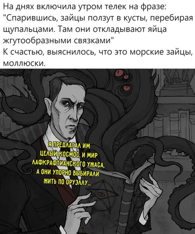 Весёлый полтишок 29.12.24