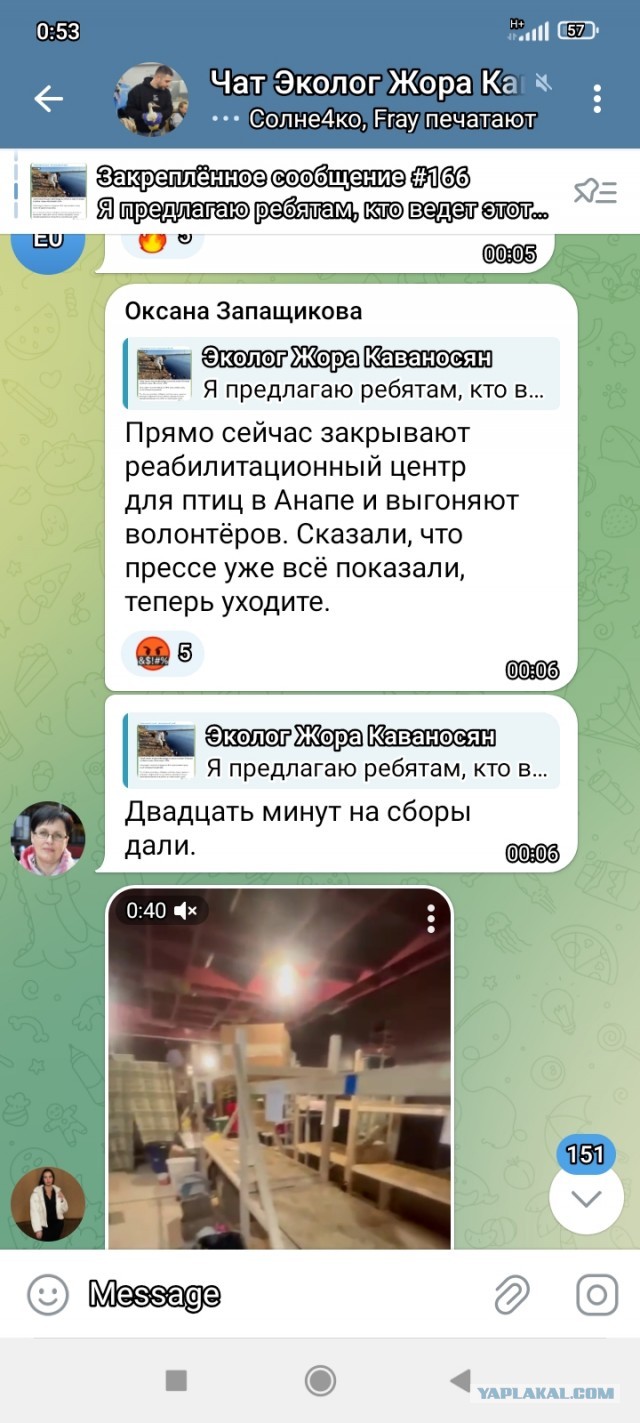 В Анапе экстренно закрывают реабилитационный центр для птиц