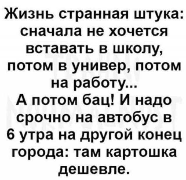 Так себе картинки 19.02.25