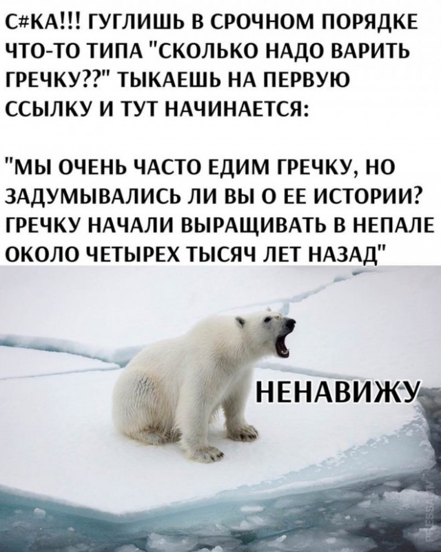 Веселые картинки в пятницу (21.02)