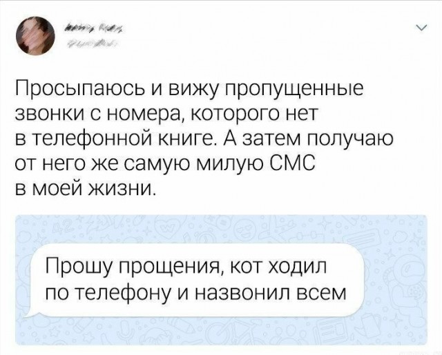 Картинки разные с надписями и без
