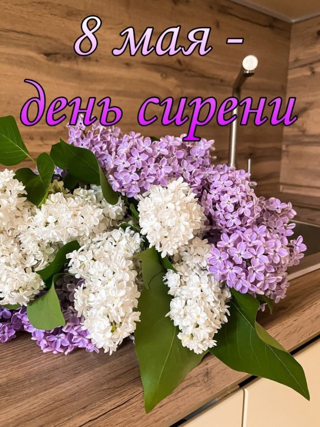 Прикольные и просто красивые картинки 08.05.2025
