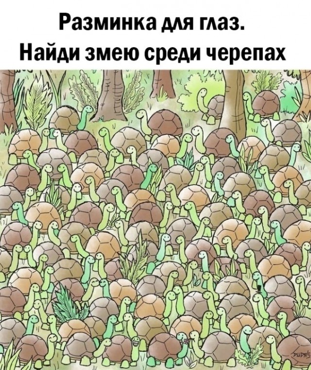 Так себе картинки 08.05.25
