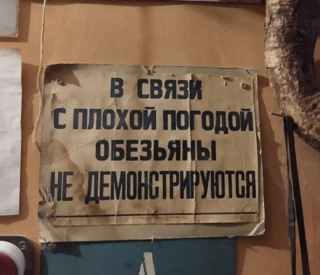 Занятные картинки с надписями в понедельник