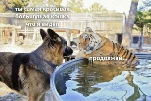 Начинайте свой день с чего-то положительного