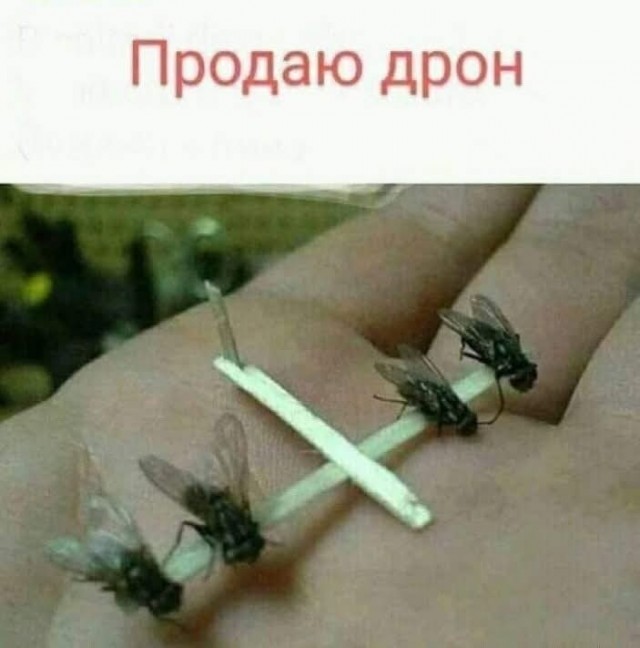 20252931.jpg