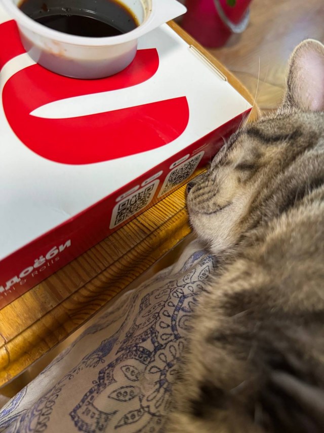 Мы ущемили кота!