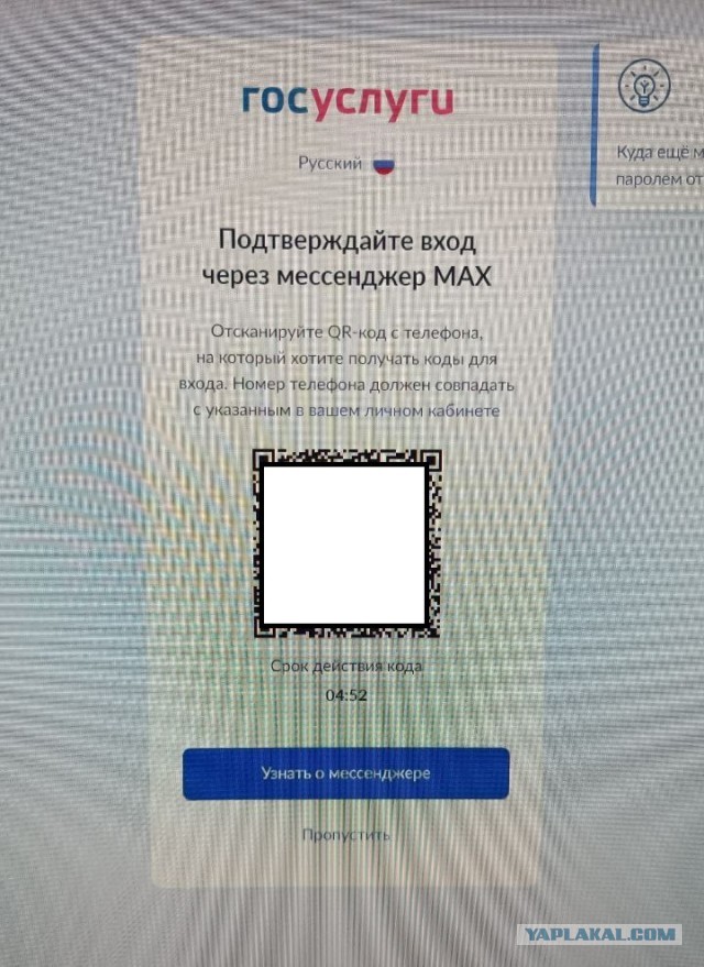 Митинг против мессенджера Max прошёл в Воронеже