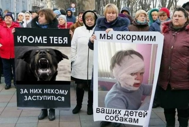 Председателя лиги защиты животных задержала полиция из за гибели ребёнка