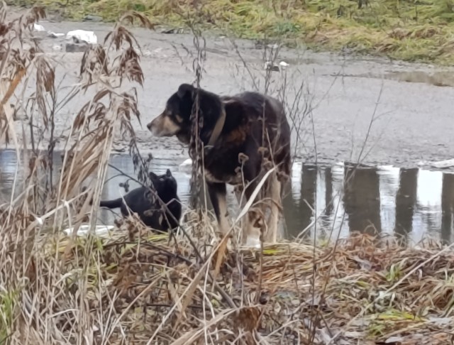 Просто фото.