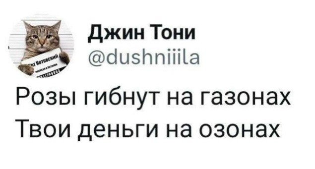 Розы гибнут на газонах...