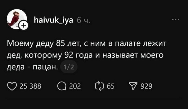 Веселые картинки в пятницу (16.01)