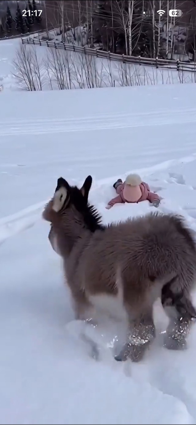 Счастливое детство