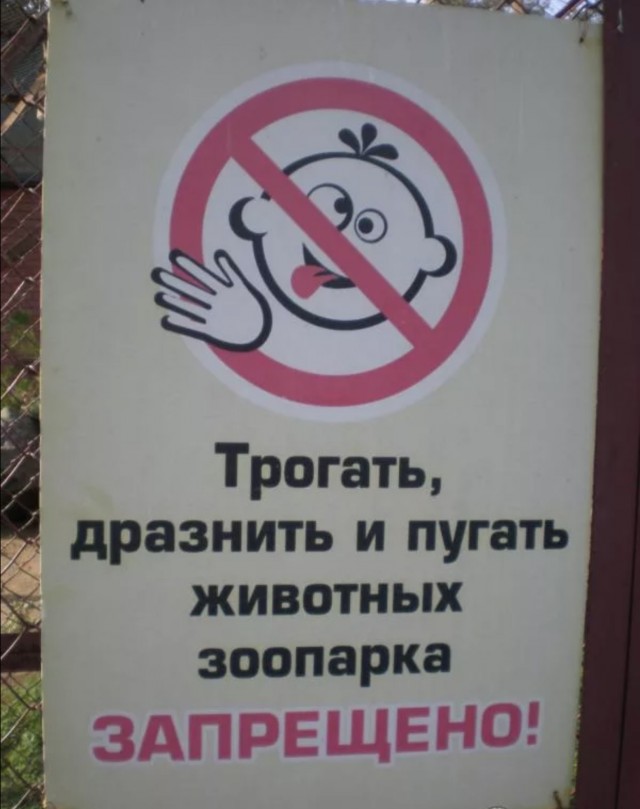 Какой такой бульон