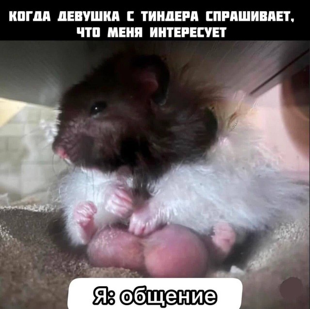 Картиночки, баянчики 02 апреля