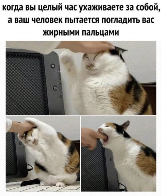 Веселые картинки в пятницу (10.07)
