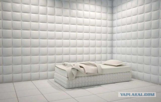 И это еще осень не началась
