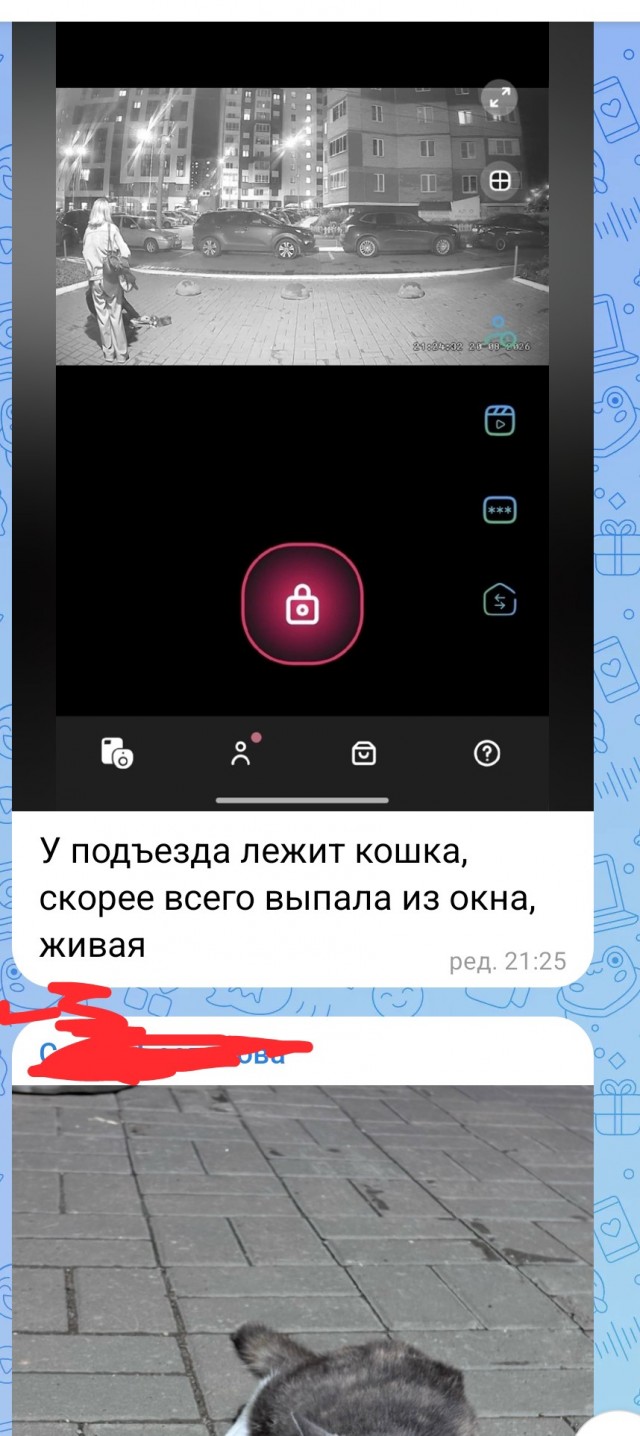 Я верю