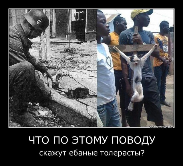 Быдло в автобусе