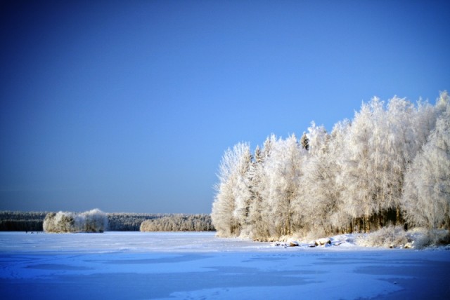 Скоро зима, товарищи !