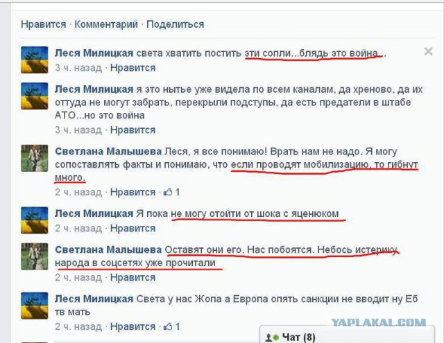 Паника в соцсетях